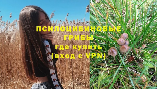 mix Каменка