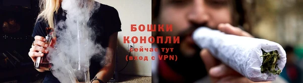 гидропоника Карпинск