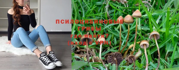 mix Каменка